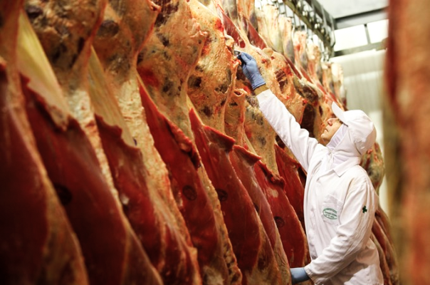 Carnes/China: Importação cresce 63% em setembro, para 830 mil toneladas