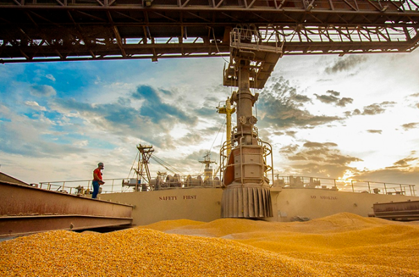 Exportação de milho do Brasil reduz ritmo na 3ª semana de outubro