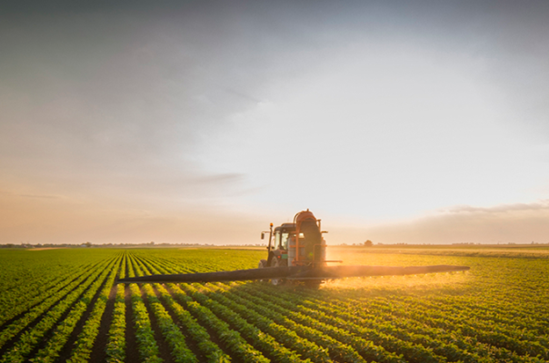 Puxada pelo agro, balança comercial começa agosto com superávit de US$ 2 bilhões