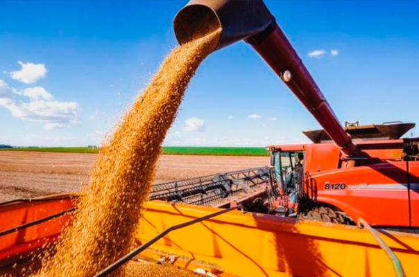 Exportações de soja crescem 39% em julho; vendas de açúcar e carnes disparam