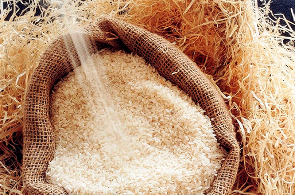 Importação de arroz pelo Brasil dispara no acumulado de setembro