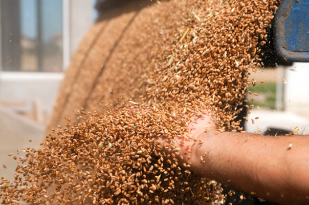 Exportação foi favorecida no trimestre pelos preços das commodities, diz IBGE